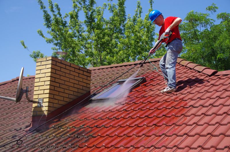 Roof Stain Removal in Vancouver, WA